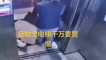 人都看呆了，这操作太秀了