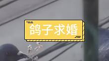 老公怎么混的这么惨