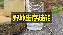 一招解决在野外没有干净水质的小技巧