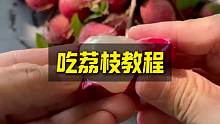 吃荔枝教程