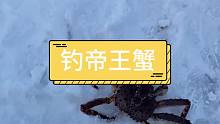 随随便便钓点帝王蟹