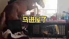 马进屋了