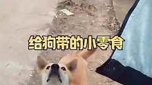 给狗带的小零食