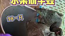 街头98一只的水果崩牛蛙