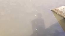还能这样钓鱼呢