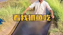 看我抓鱼吃