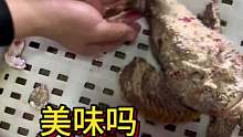 长相怪异的鱼，美味吗