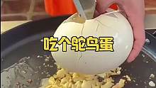 吃个鸵鸟蛋