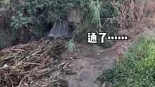 开塞露都没用上