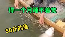 煮熟的鸭子飞了，这得一个月睡不好觉呀