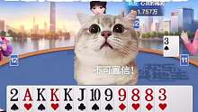 这个牌厉害了