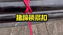 杀猪佬经常用到的猪蹄锁紧扣绑法
