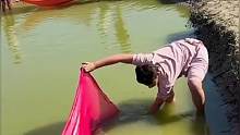 抓鱼全靠布！看他们咋在池塘里捞鱼