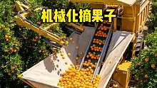这可比传统方式快多了