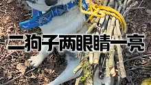 二狗子两眼睛一亮