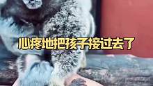 心疼地把孩子接过去了
