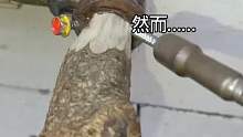 这个办法真好用