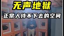 一个正常人待不下去的空间，被称为无声地狱它可以吞没一切声音