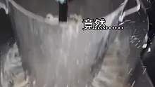 液压机压大肥肉