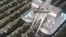 还能这么除渣渣
