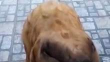这是练绝活呢
