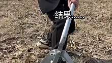拔秧神器就是牛