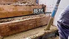 这玩意可真好使