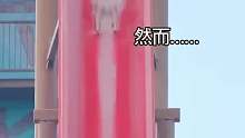 谁玩过这个项目