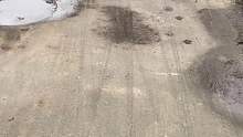 整蛊路人