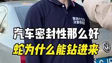 为什么汽车密封性那么好但是却有蛇能钻进来？有车的要知道！