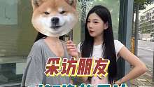 你们觉得轩逸怎么样呢？