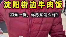 沈阳街边20元一份的牛肉盖浇饭，香迷糊了!