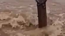 腿蹲麻了