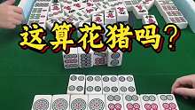 这算花猪吗？