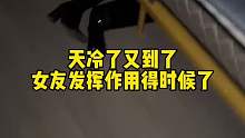 小猫贴贴