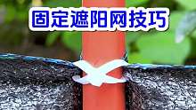 固定遮阳网技巧