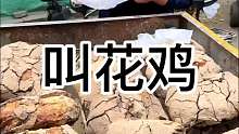 东北街头30块一只的叫花鸡 软烂脱骨 嘎嘎香