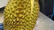 为什么很多生物都喜欢把自己进化的很好吃的样子？