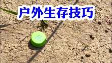 户外生存技巧