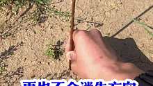 再也不会迷失方向