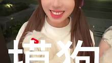 今天摸了猫还有狗