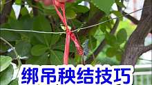 绑d秧结技巧