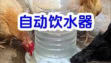自动饮水器