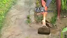 苞米地让水淹了！