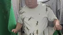 天龙壁虎养殖