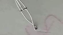 钓鳝鱼牛了