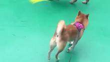 有病得看