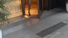 穿的特别精致