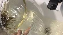 网友分享日常换鱼画面，一养一个不吱声