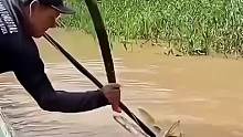 你敢碰我吗